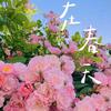 闫老师
