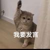 中意唱歌仔