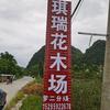 阳朔县琪瑞花木场