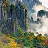 柒墨.禅韵