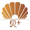 海贝壳益智桌游思维玩具