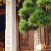 山那边是什么