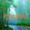 竹林听雨