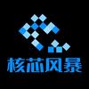 核芯风暴