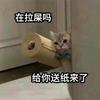 堡芽