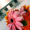 宝安松岗乐博教育