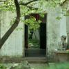 茶栀栀