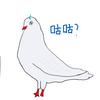 乔翊qsk