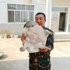卢师傅抓甲鱼