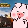 PUBG piggy