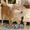 焺焺游戏