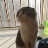 离沫时光