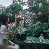 花开的声音