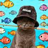 文子爱路亚🎣