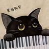 黑猫钢琴
