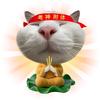 菏泽研途大钱老师