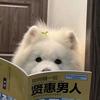 三角汤圆