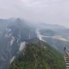 馨迪浩