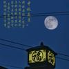伴夏微凉