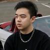 数码万事桐