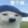 奈绪江neuro