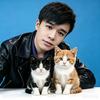 奶黑奶橘是只猫