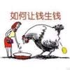 如何让钱生钱