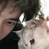 Q弹の小布丁