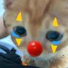 清风自来