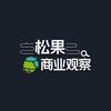松果商业观察