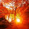 春天阳光
