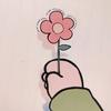 一颗小白菜