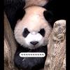 二手办公家具打工仔