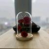 青岛鑫昶来干燥剂