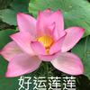 发该甄选
