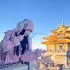 河南导游娜娜（旅游接待）
