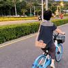 随情随性随风