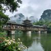 向阳葵