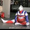 这野人没票了