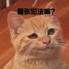 独眼龙（洲P）