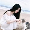 画饼