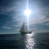 弥敦道九号