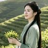 一间旧书房