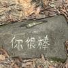 阿拉皮