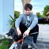 诸事顺遂