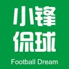小锋侃球