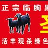 临朐全羊在潍坊