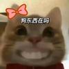 巴不吐撒