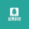 松果科技派
