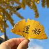 看那百货